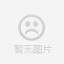 三葉羅茨風(fēng)機(皮帶傳動) 三葉羅茨風(fēng)機(皮帶傳動)