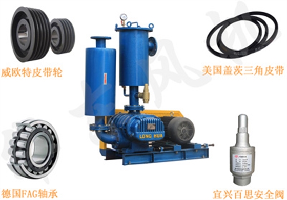 魯氏真空泵配件 魯氏真空泵配件