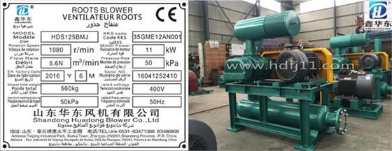密集型羅茨風機 密集型羅茨風機