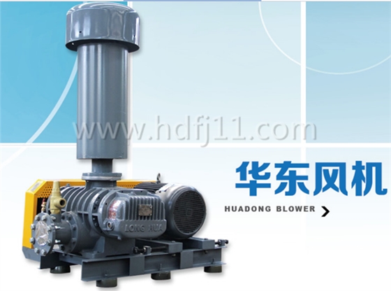 魯氏風(fēng)機(jī) 魯氏風(fēng)機(jī)