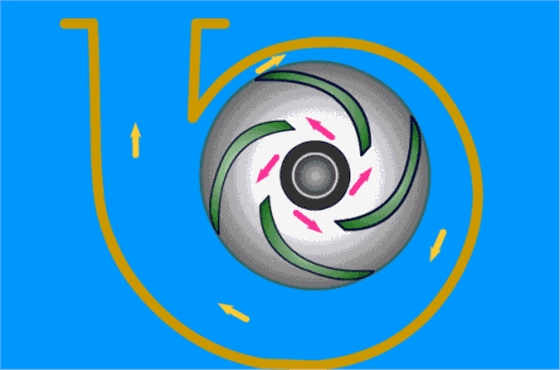 離心泵.gif 離心泵.gif