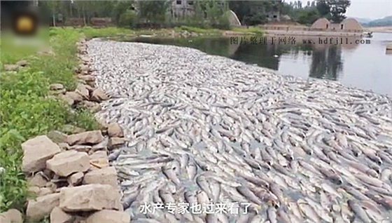 增氧機.jpg 增氧機.jpg