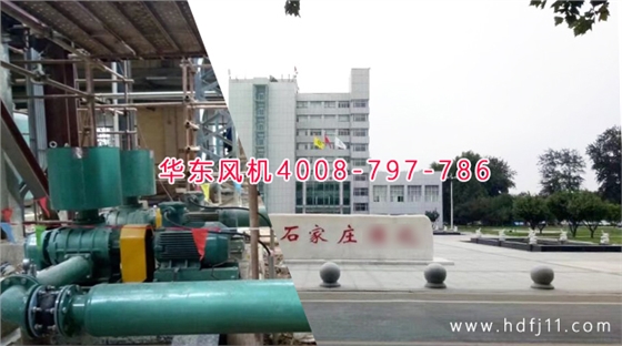 羅茨風機 羅茨風機