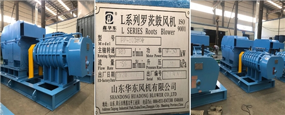 二葉羅茨風機 二葉羅茨風機