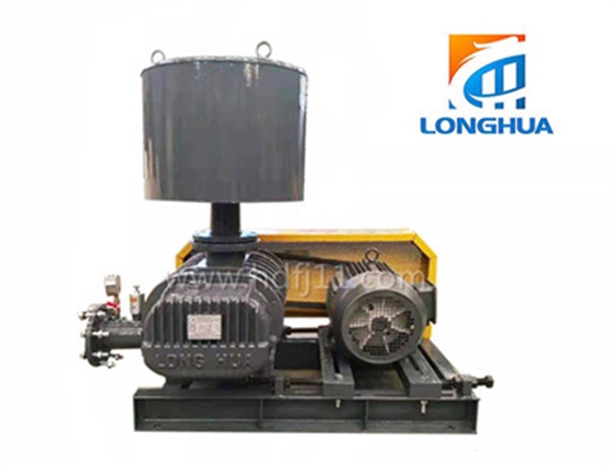 魯氏真空泵 魯氏真空泵