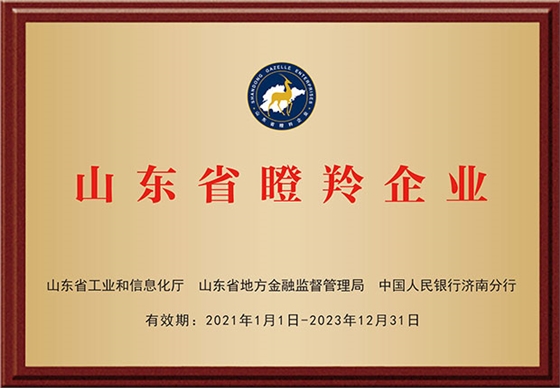 瞪羚企業大.jpg 瞪羚企業大.jpg