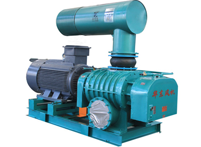 羅茨風機(直連) 羅茨風機(直連)