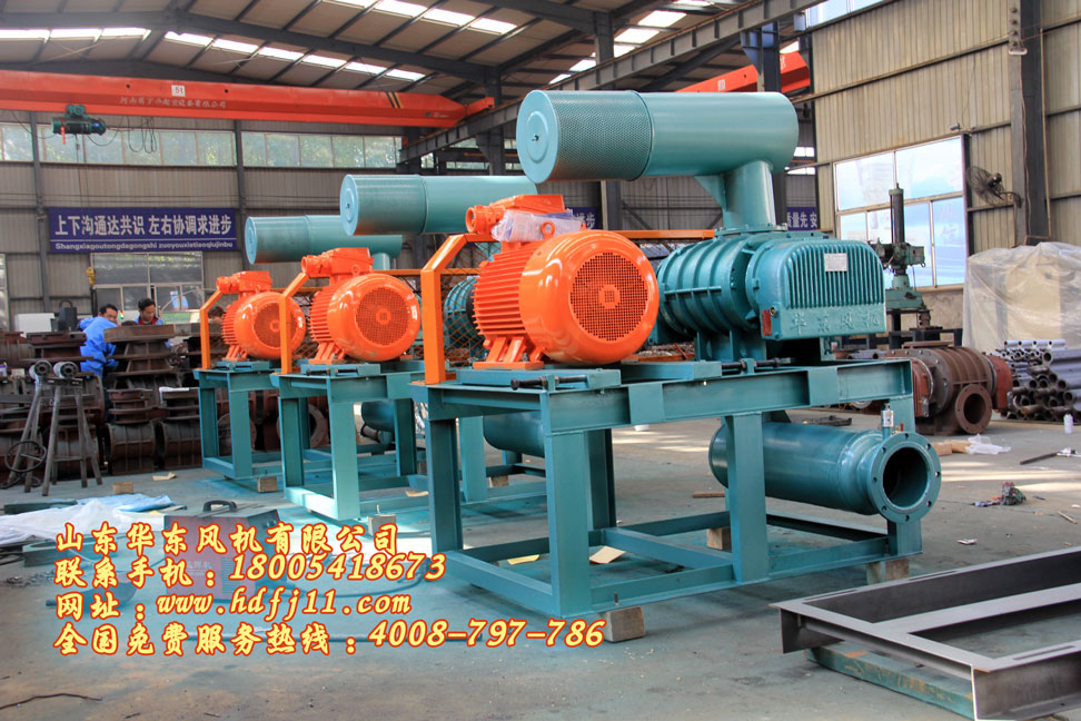 IMG_3787.jpg IMG_3787.jpg