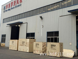 羅茨風(fēng)機(jī)包裝 羅茨風(fēng)機(jī)包裝
