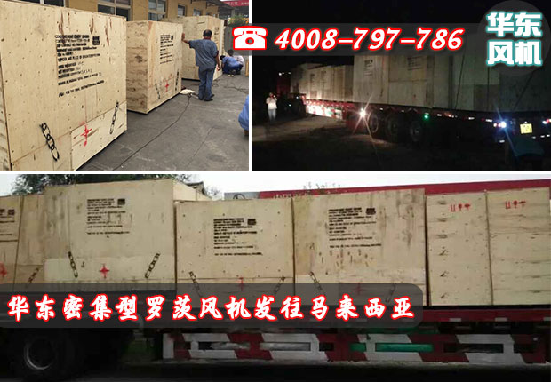 密集型羅茨風機發貨