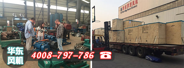 羅茨風機國外項目驗貨及發貨現場 羅茨風機國外項目驗貨及發貨現場