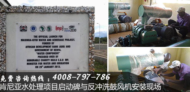 反沖洗羅茨風機 反沖洗羅茨風機