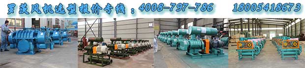 羅茨風機 羅茨風機