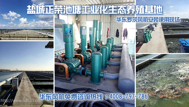 華東羅茨式增氧機 華東羅茨式增氧機