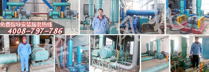 碳酸鈣羅茨風機案例現場