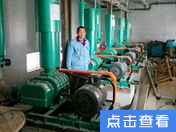 001ali.jpg 001ali.jpg