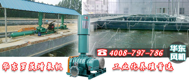 華東羅茨增氧機(jī) 華東羅茨增氧機(jī)