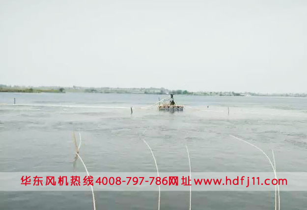 微孔曝氣增氧機鱖魚水產養殖.jpg 微孔曝氣增氧機鱖魚水產養殖.jpg