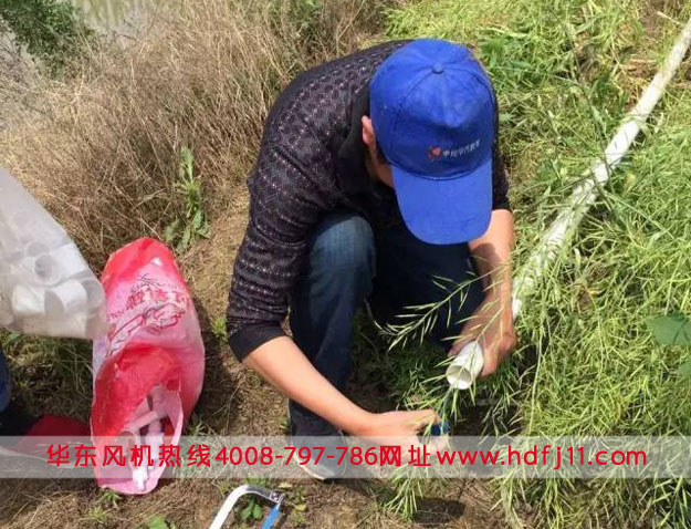 鱖魚養殖微孔曝氣增氧管路.jpg 鱖魚養殖微孔曝氣增氧管路.jpg