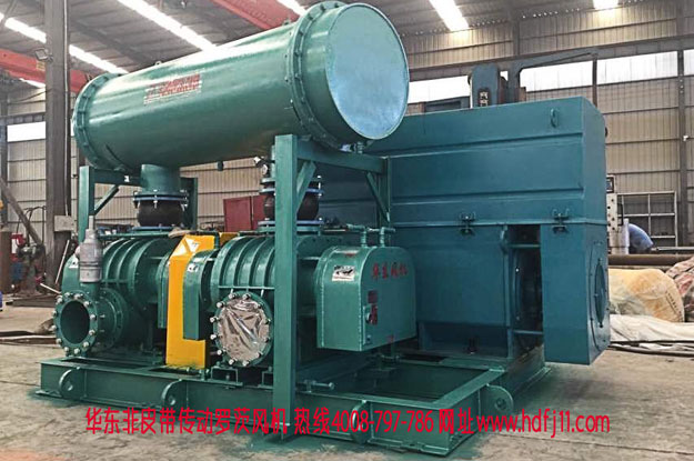 直連傳動羅茨風機 直連傳動羅茨風機