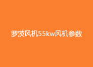 羅茨風機55KW參數.jpg