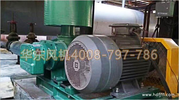 w-pic-4.jpg w-pic-4.jpg