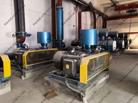 三葉羅茨風機振動值 三葉羅茨風機振動值