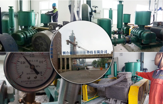 華東山東羅茨風機案例-煙臺**環(huán)保科技有限公司