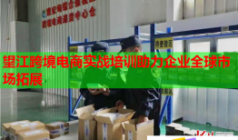 望江跨境電商實戰(zhàn)培訓助力企業(yè)全球市場拓展
