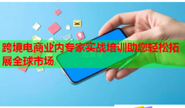 跨境電商業(yè)內(nèi)專家實戰(zhàn)培訓助您輕松拓展全球市場