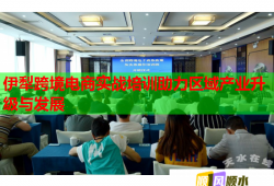 伊犁跨境電商實戰(zhàn)培訓助力區(qū)域產(chǎn)業(yè)升級與發(fā)展