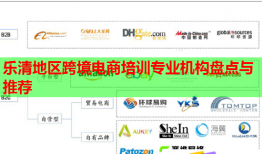 樂(lè)清地區(qū)跨境電商培訓(xùn)專業(yè)機(jī)構(gòu)盤(pán)點(diǎn)與推薦