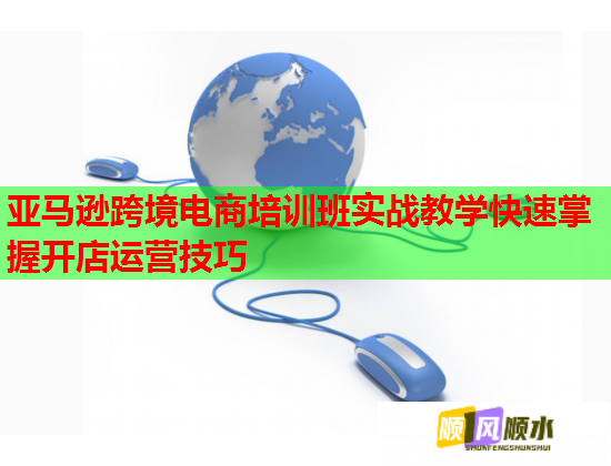 亞馬遜跨境電商培訓(xùn)班實戰(zhàn)教學(xué)快速掌握開店運營技巧