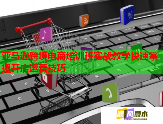 亞馬遜跨境電商培訓(xùn)班實戰(zhàn)教學(xué)快速掌握開店運營技巧
