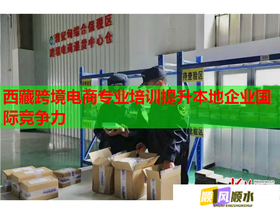 西藏跨境電商專業(yè)培訓(xùn)提升本地企業(yè)國際競(jìng)爭力