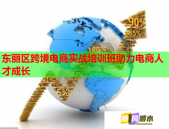東麗區(qū)跨境電商實戰(zhàn)培訓(xùn)班助力電商人才成長
