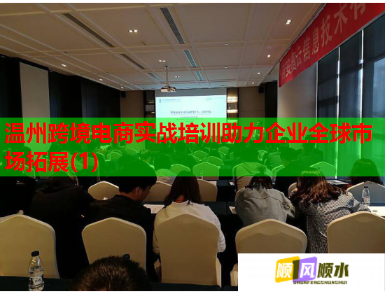 溫州跨境電商實戰(zhàn)培訓(xùn)助力企業(yè)全球市場拓展(1)