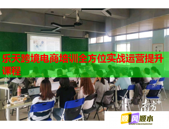 樂天跨境電商培訓(xùn)全方位實戰(zhàn)運營提升課程